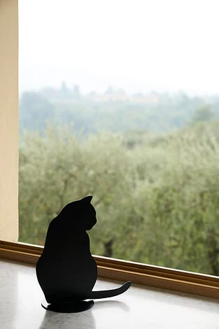 Dekoracja OMBRES DE CHATS czarny - Image 8