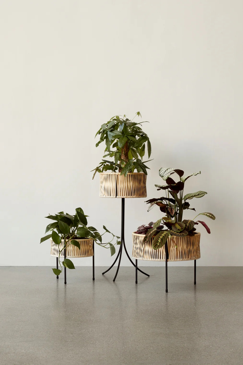 Doniczka UMANOFF rattan - Image 14