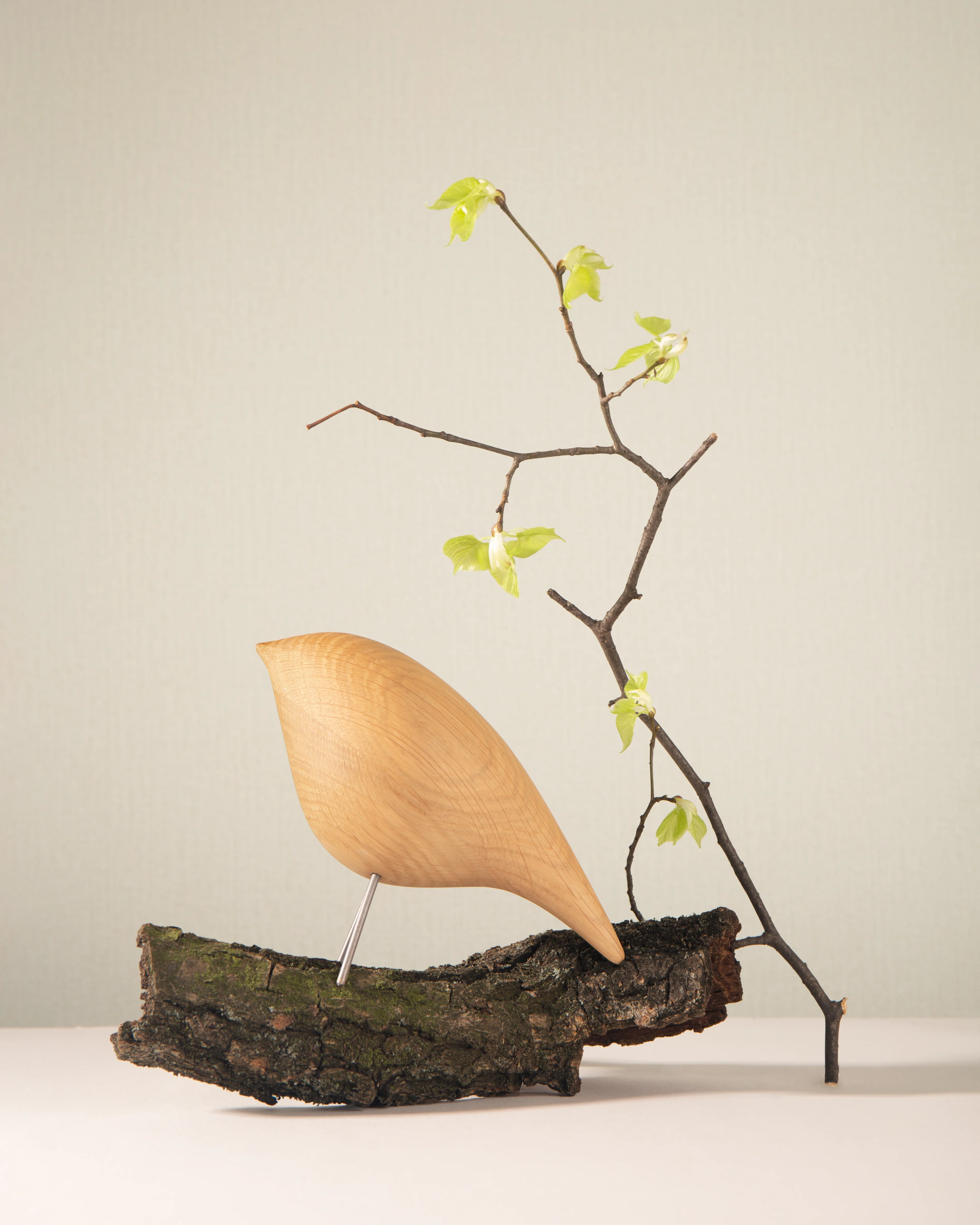 Figurka dekoracyjna TWEETY DECORATIVE BIRD naturalny dąb - Image 11