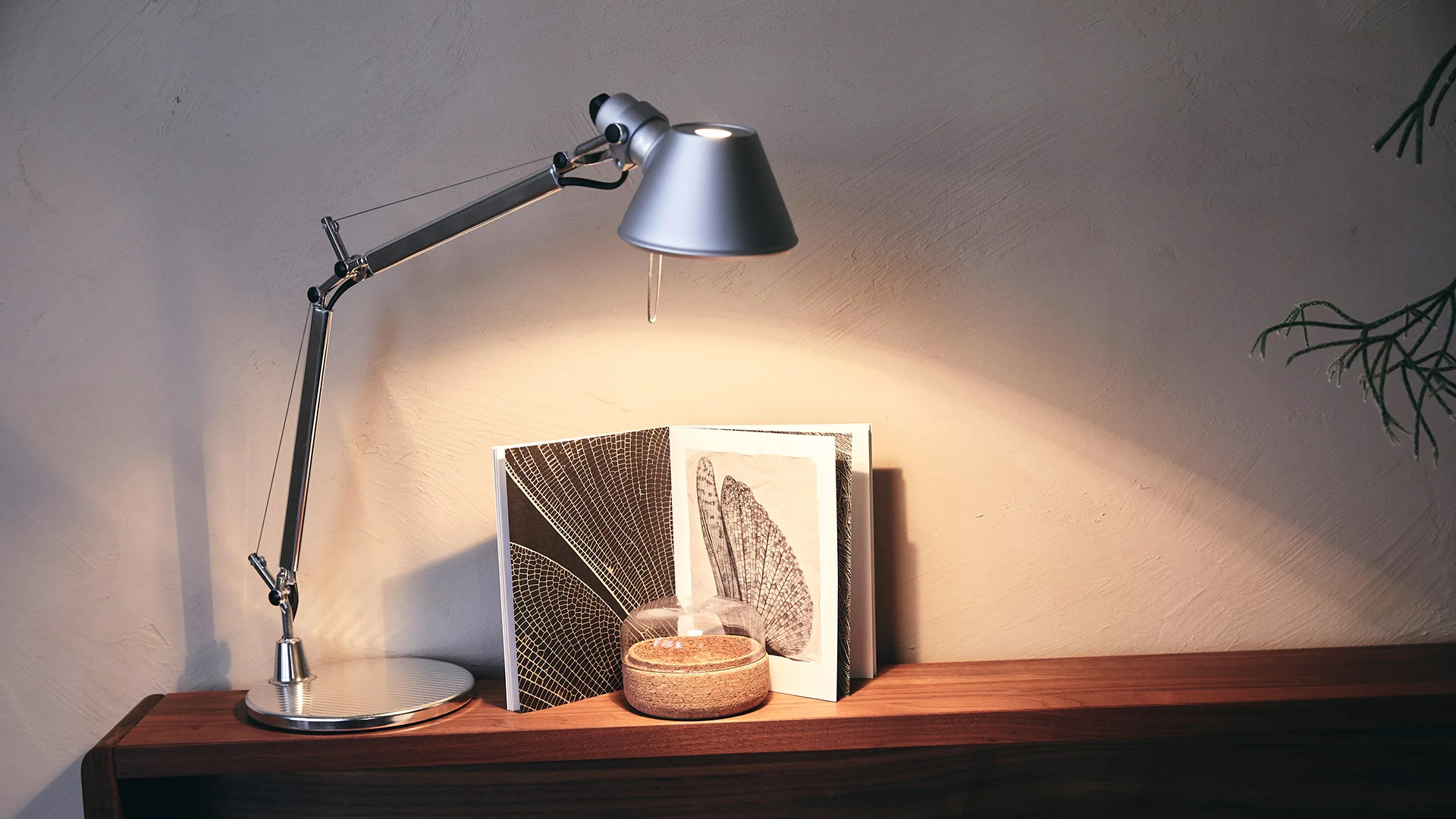 Lampa biurkowa regulowana TOLOMEO MICRO błyszczący srebrny - Image 4