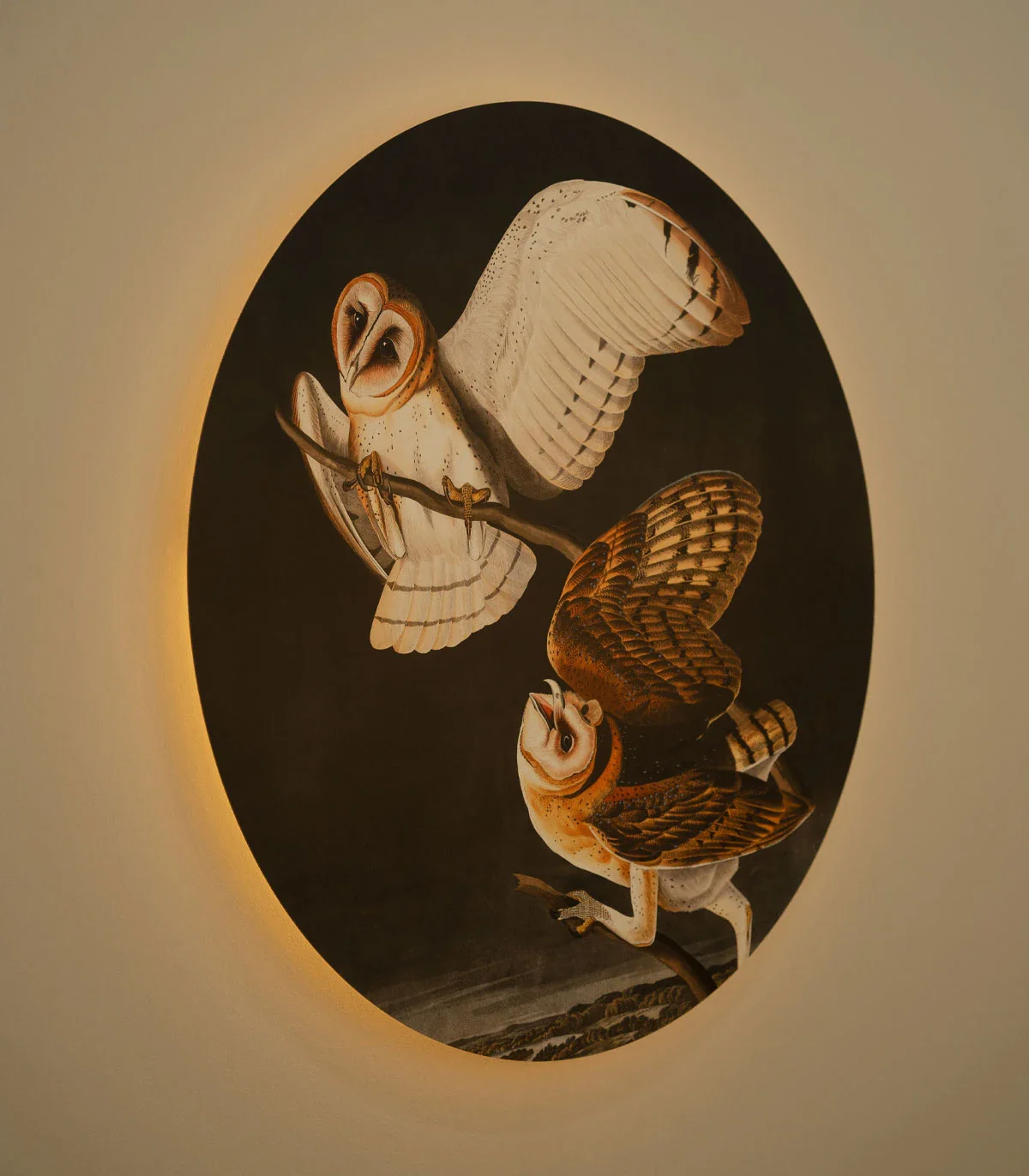 Lampa ścienna DOTS LIGHTING - OWLS ciemnoszary - Image 3