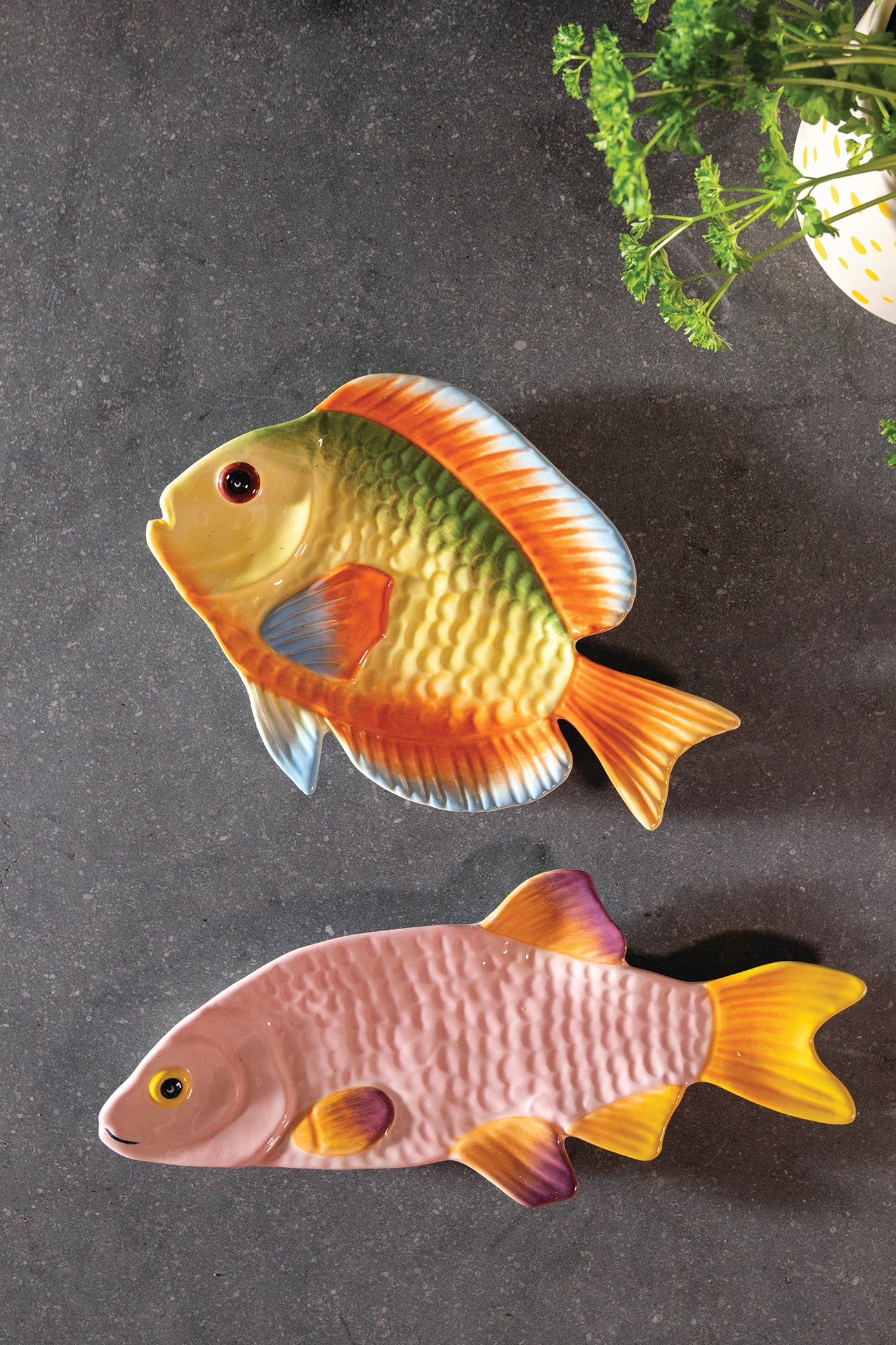 Talerz FISH RAINBOW kolorowy - Image 2