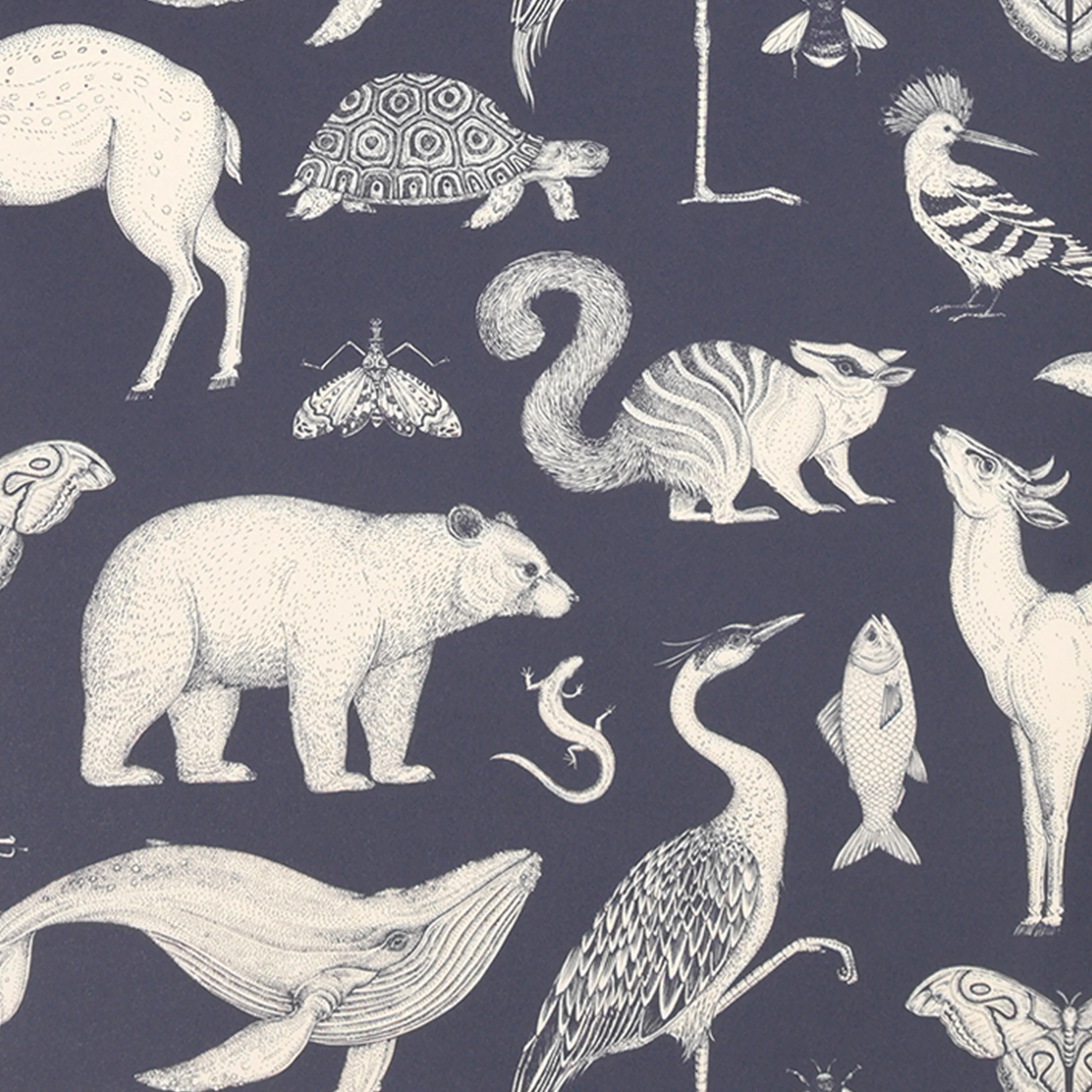 Tapeta KATIE SCOTT - ANIMALS ciemnoniebieski