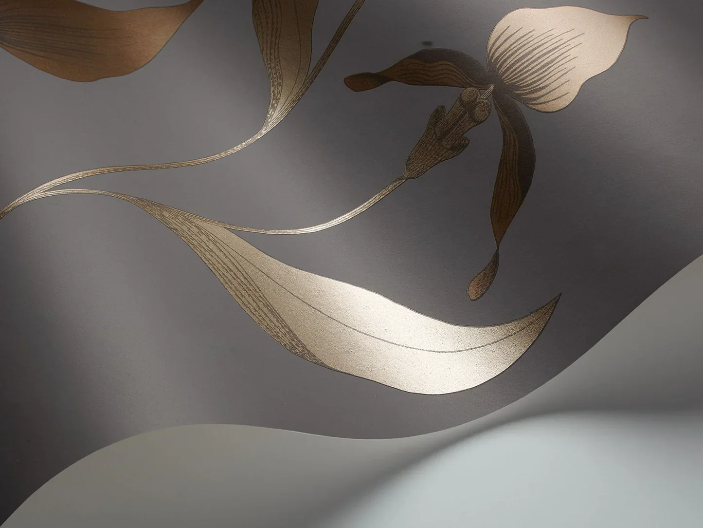 Tapeta z motywem roślinnym kwiatów orchidei CONTEMPORARY COLLECTION - ORCHID brązowy z ciemnoszarym - Image 2