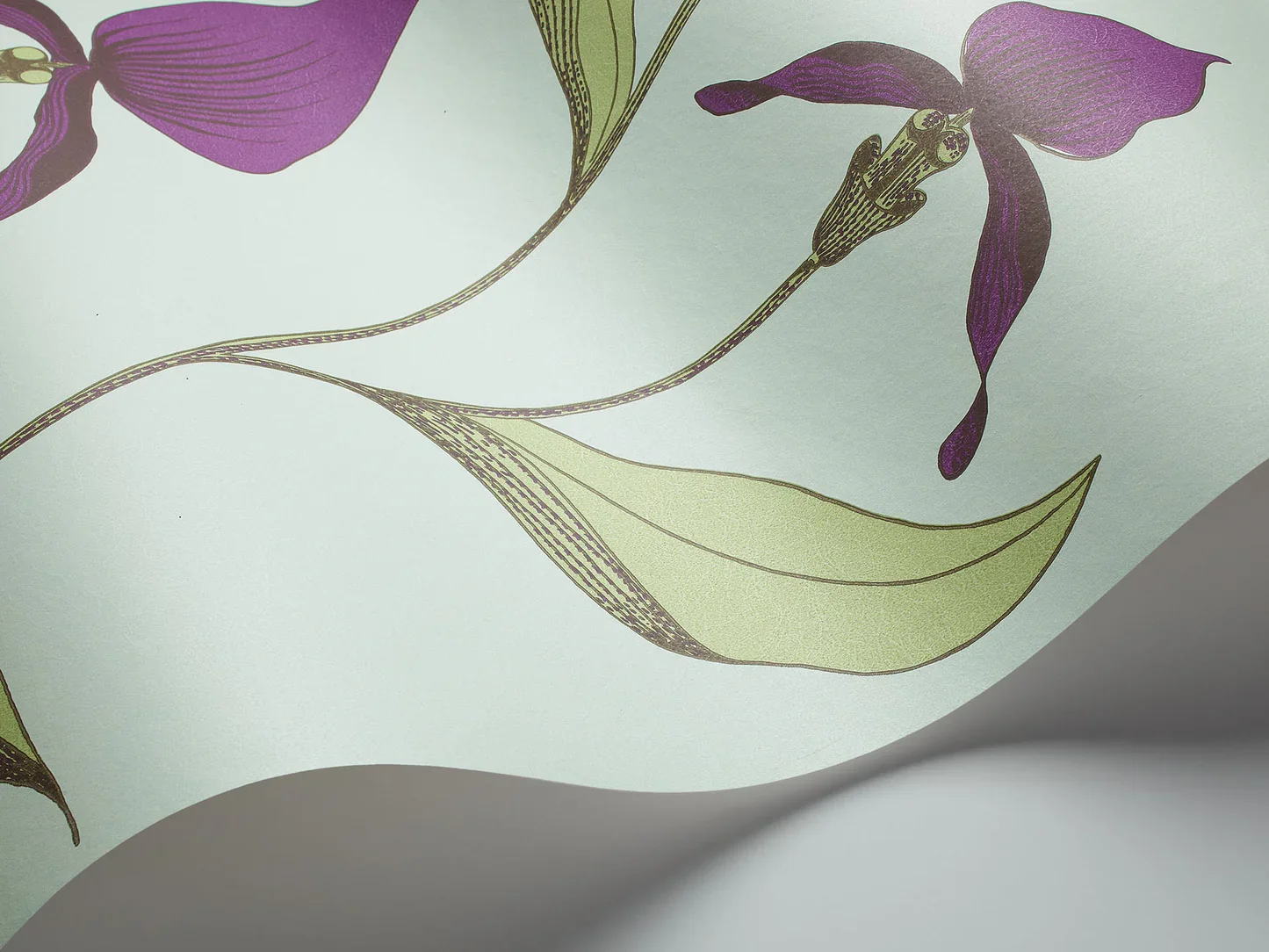 Tapeta z motywem roślinnym kwiatów orchidei CONTEMPORARY COLLECTION - ORCHID fioletowy z zielonym - Image 2